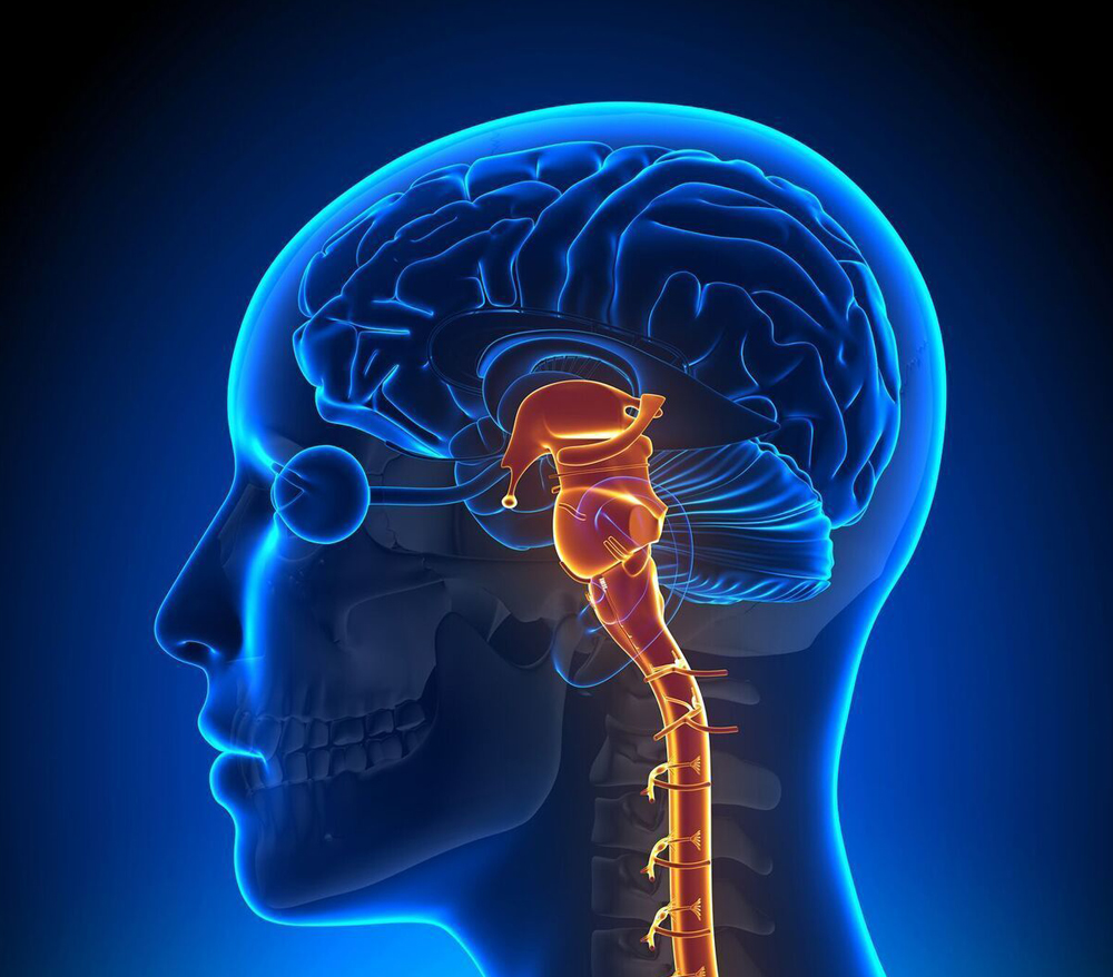 Consult Your Neurosurgeon